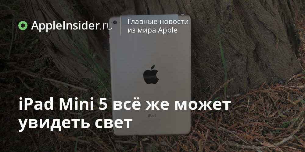 iPad Mini 5 всё же может увидеть свет