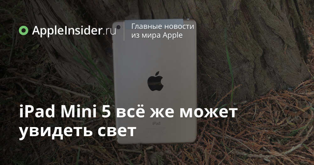 iPad Mini 5 всё же может увидеть свет