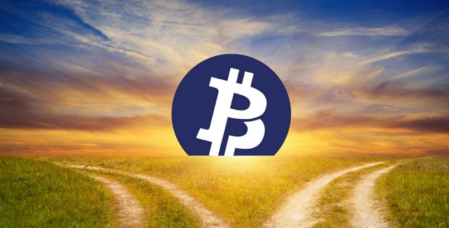Аналитики Coinmetrics уличили команду Bitcoin Private в мошенничестве