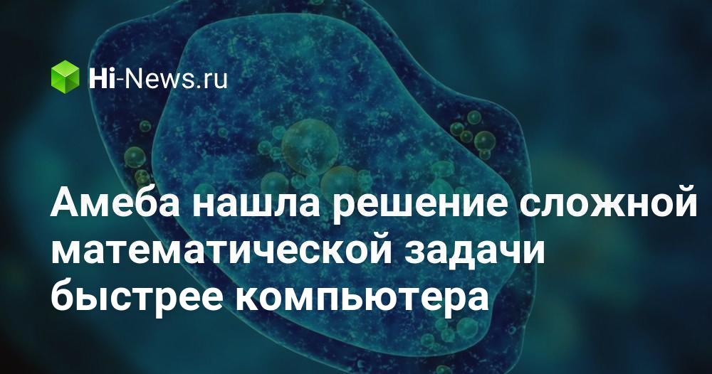 Амеба нашла решение сложной математической задачи быстрее компьютера