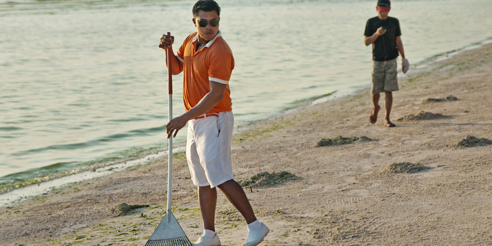 Убрал пляж? Получи эфирку!