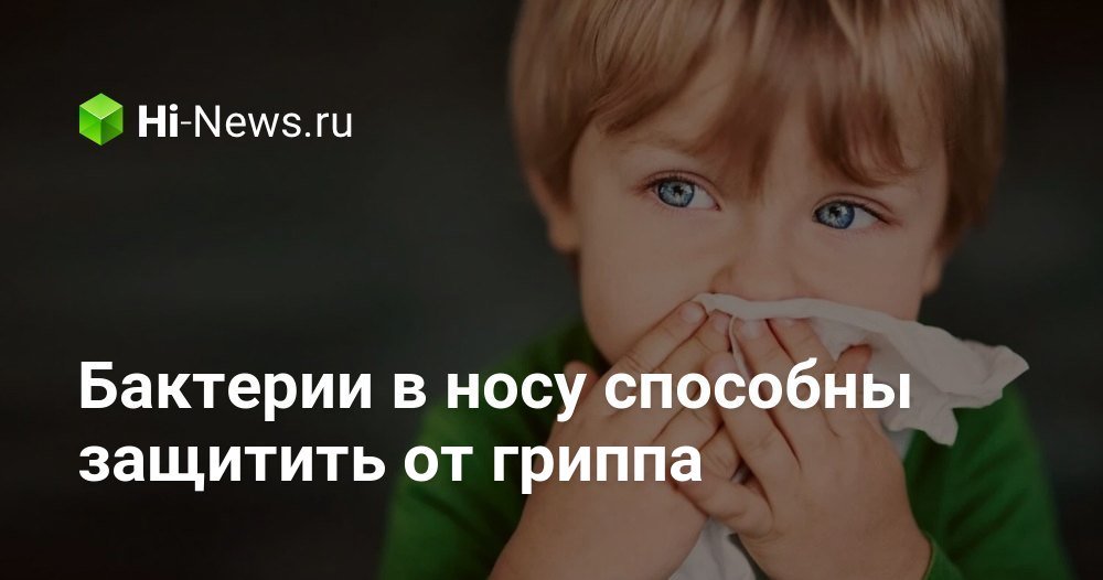Бактерии в носу способны защитить от гриппа