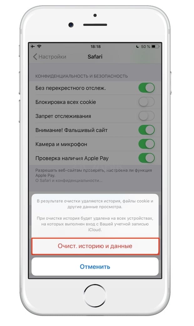 Как удалить всю историю посещений (или выборочно) в браузере Safari на iPhone, iPad и Mac (macOS)