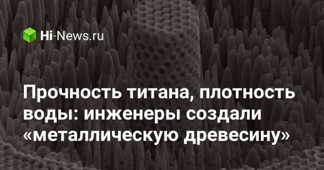 Прочность титана, плотность воды: инженеры создали «металлическую древесину»