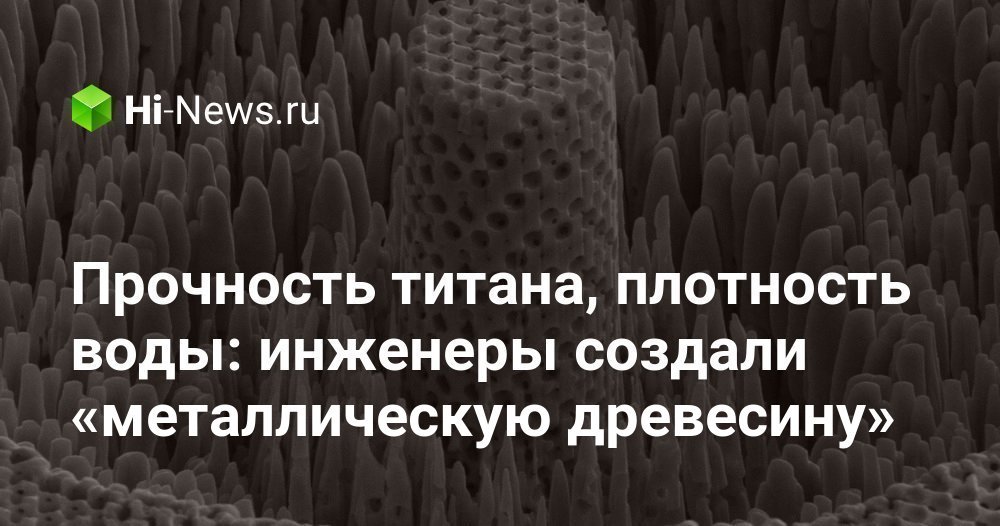 Прочность титана, плотность воды: инженеры создали «металлическую древесину»