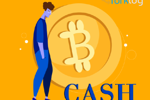 Биткоин-процессинг OpenNode отклонил $1,25 млн инвестиций со стороны Роджера Вера