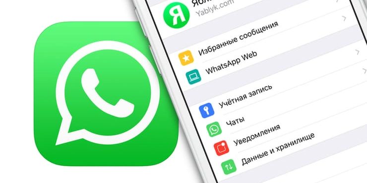 10 полезных опций WhatsApp, которые следует знать каждому