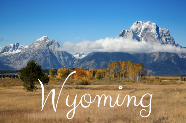 Американский штат Вайоминг законодательно приравнял криптовалюту к деньгам