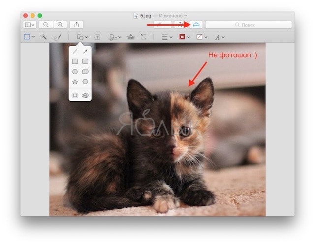 «Просмотр» позволяет делать на картинках различные пометки