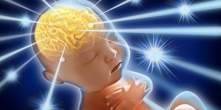 Китайским CRISPR-деткам, возможно, случайно улучшили интеллект