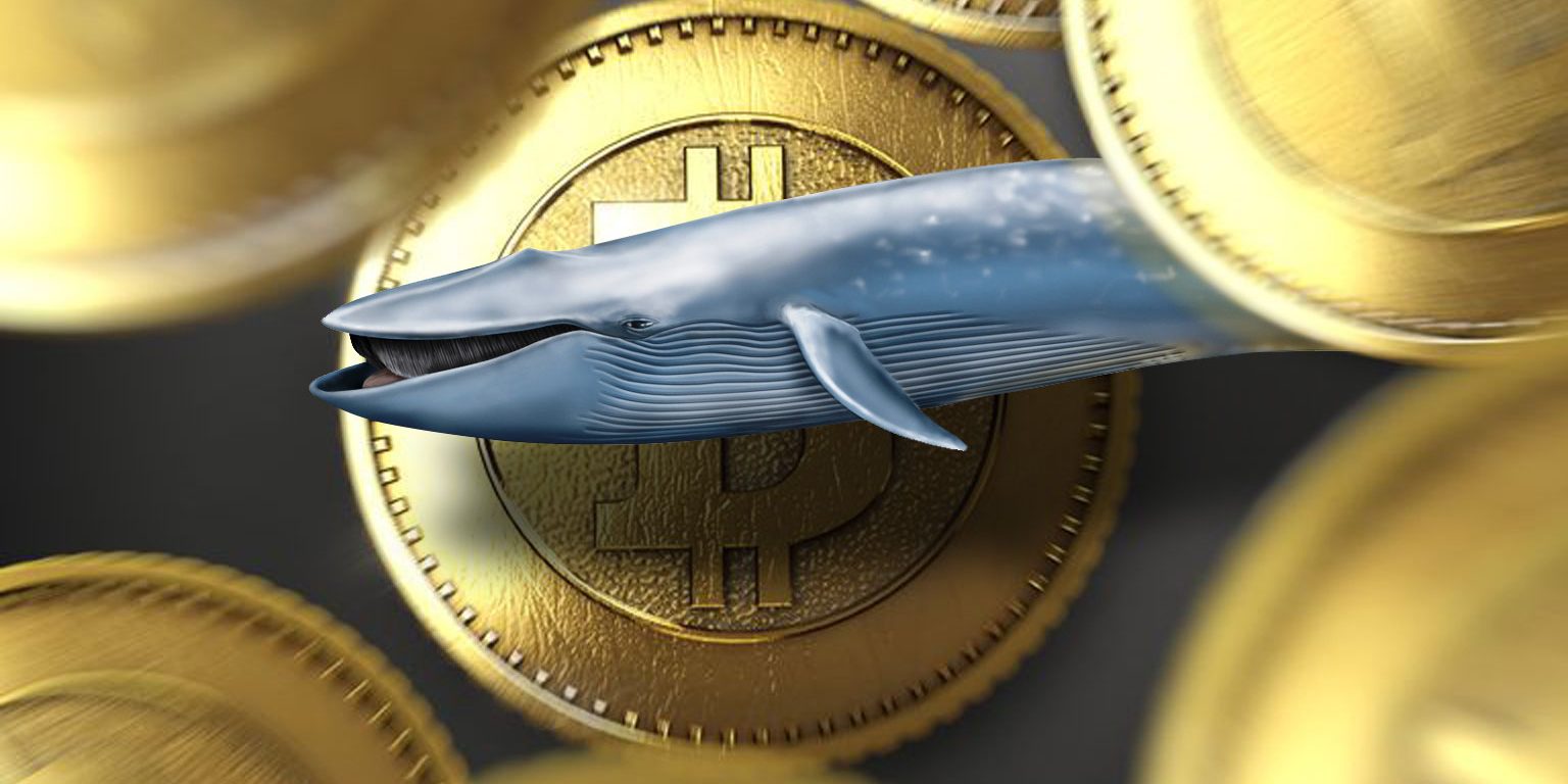 Кошельки «китов» пополнились за два месяца на 150 000 биткоинов