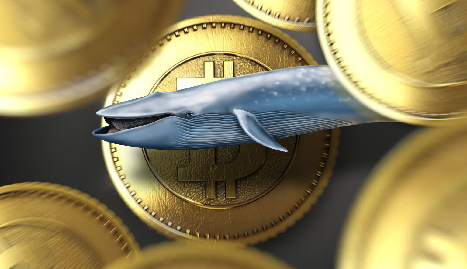 Кошельки «китов» пополнились за два месяца на 150 000 биткоинов