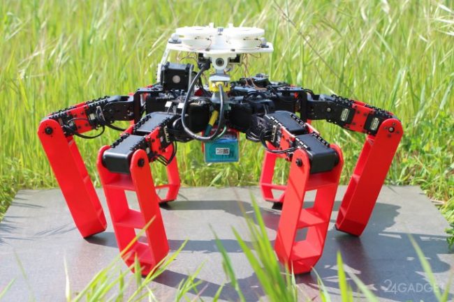 AntBot – робот, получивший навигационную систему муравьев (3 фото + 2 видео)