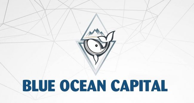 Инвестор подал иск на Blue Ocean Capital, потеряв $2 млн