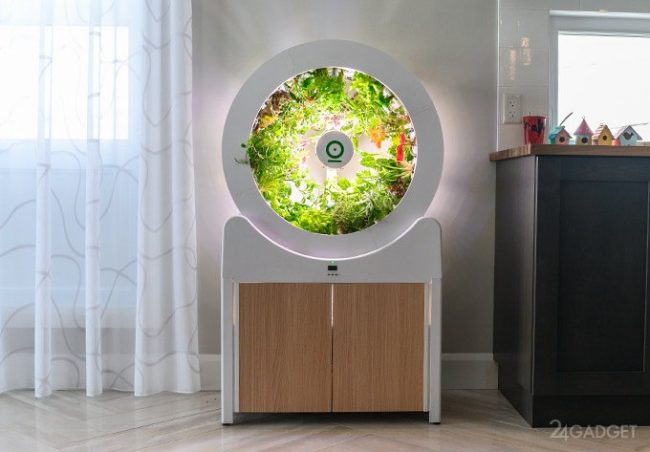 OGarden — фантастический круговой сад для любого дома (9 фото + видео)