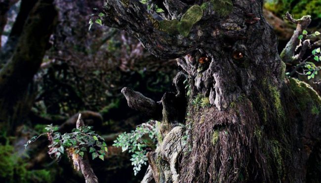 Taproot близко, или Следующая ступень эволюции биткоина