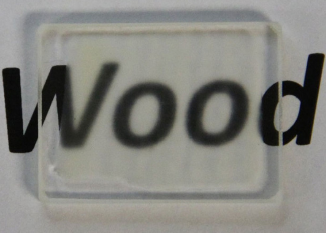 В Китае ученые модернизировали технологию производства прозрачной древесины