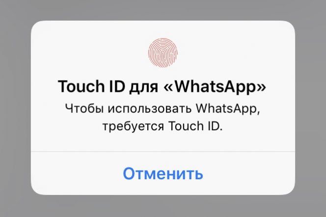 WhatsApp для iPhone теперь поддерживает блокировку с помощью Face ID и Touch ID