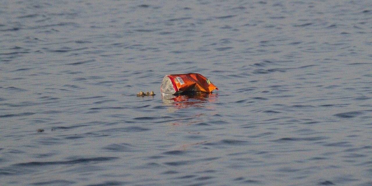 В Китае студенты создали лодку для сбора мусора из воды