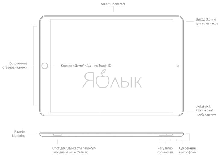 Кнопки и разъемы iPad Air 3 (2019)