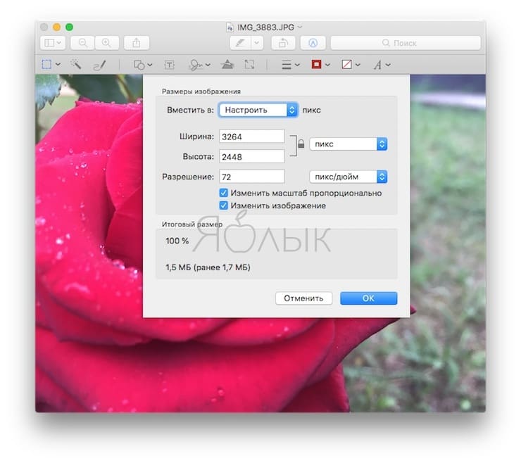Как изменить размер картинки (фото) на Mac