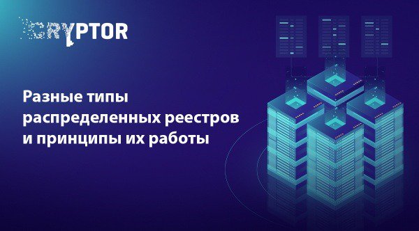 Разные типы распределенных реестров и принципы их работы