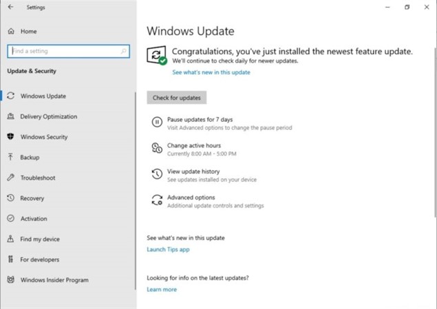 Windows May 2019 Update