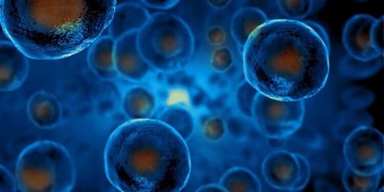 Регенеративная медицина: путь к долголетию человечества. Неужели мы близки к этому?