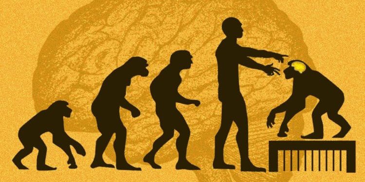 Китайские ученые внедрили гены мозга человека обезьянам. Как думаете, они стали умнее?