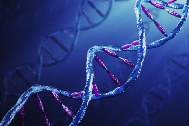 Ученые создали самую полную компьютерную модель гена ДНК