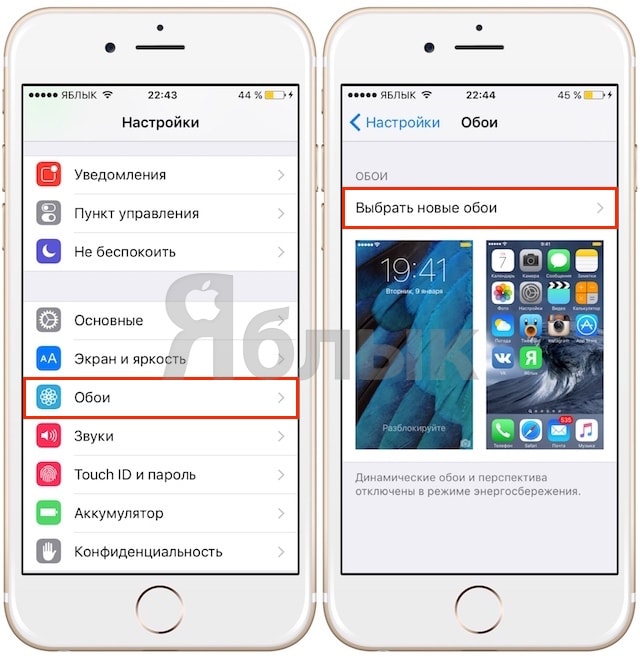 Обои на iPhone и iPad