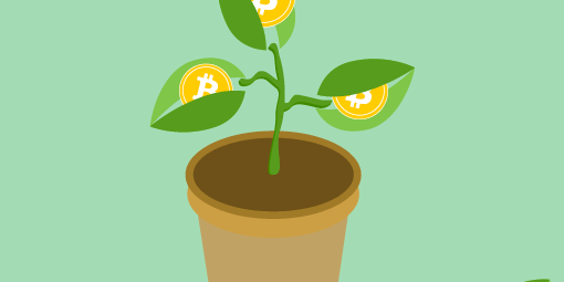 Мнение: биткоин-биржа Bitfinex в течение двух недель уладит финансовые проблемы