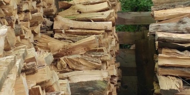 Найдите кота-хамелеона на этом фото за 10 секунд