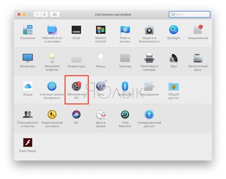 Как отключить появление обновлений бета-версий macOS в Mac App Store