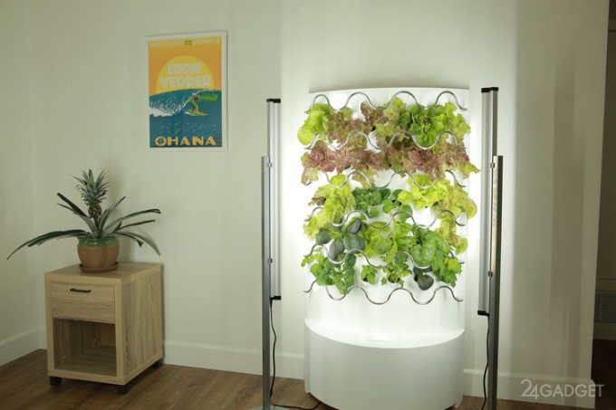 iHarvest – гидропонный домашний сад, вдвое ускоряющий рост овощей (7 фото + видео)