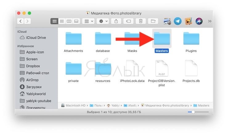 Библиотека приложения Фото в macOS