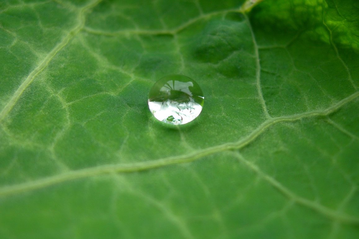 Для высокоскоростного переноса нанодроплеров ученые использовали графен