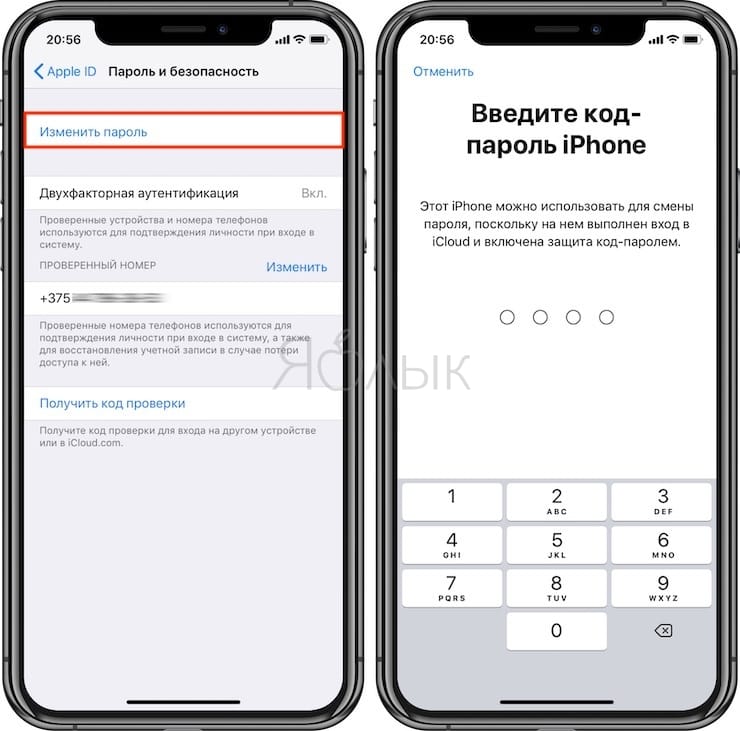 Как изменить пароль Apple ID прямо на iPhone или iPad