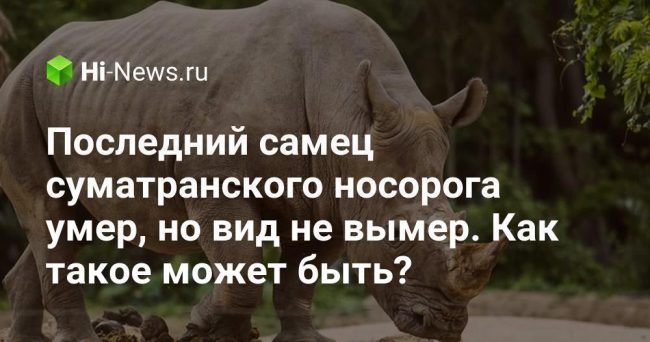Последний самец суматранского носорога умер, но вид не вымер. Как такое может быть?