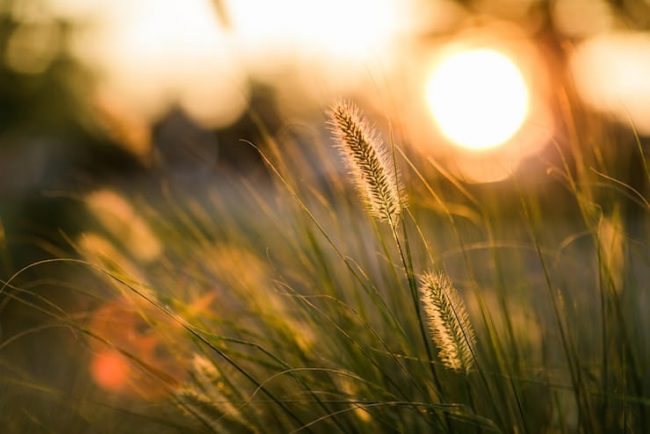 Что такое «золотой час» при съемке фото, или в какое время суток лучше фотографировать на улице