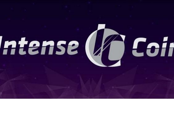 MetaMask раскрыл информацию об активности пользователей