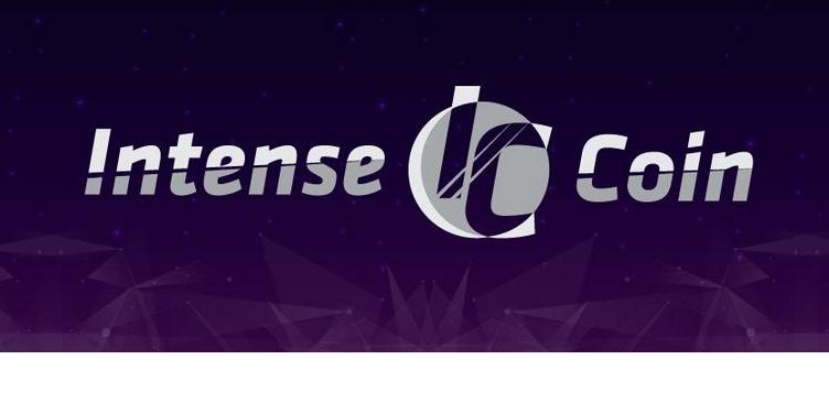 MetaMask раскрыл информацию об активности пользователей