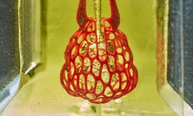 Впервые человеческие лёгкие напечатали на 3D-принтере (2 фото + видео)