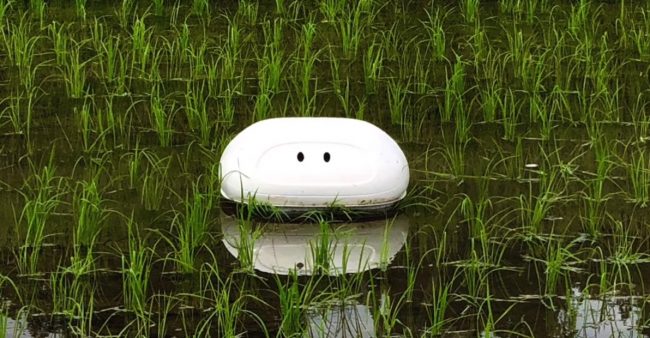 Плавучий робот компании Nissan защитит рисовые плантации от сорняков