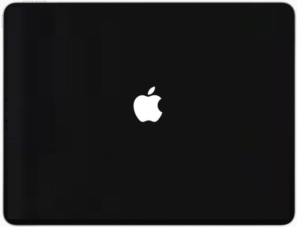 Что делать, если iPad завис на яблоке (логотипе Apple)?