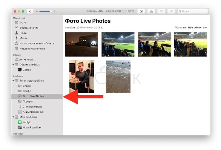 Как сохранить Живые фото в формате gif на Mac