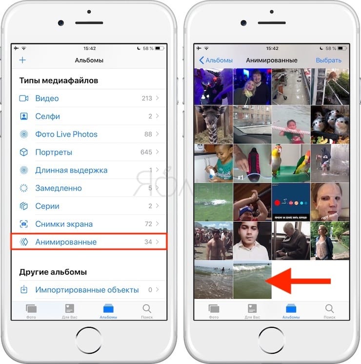 Как сделать Gif (гифку) из Live Photos на iPhone, iPad
