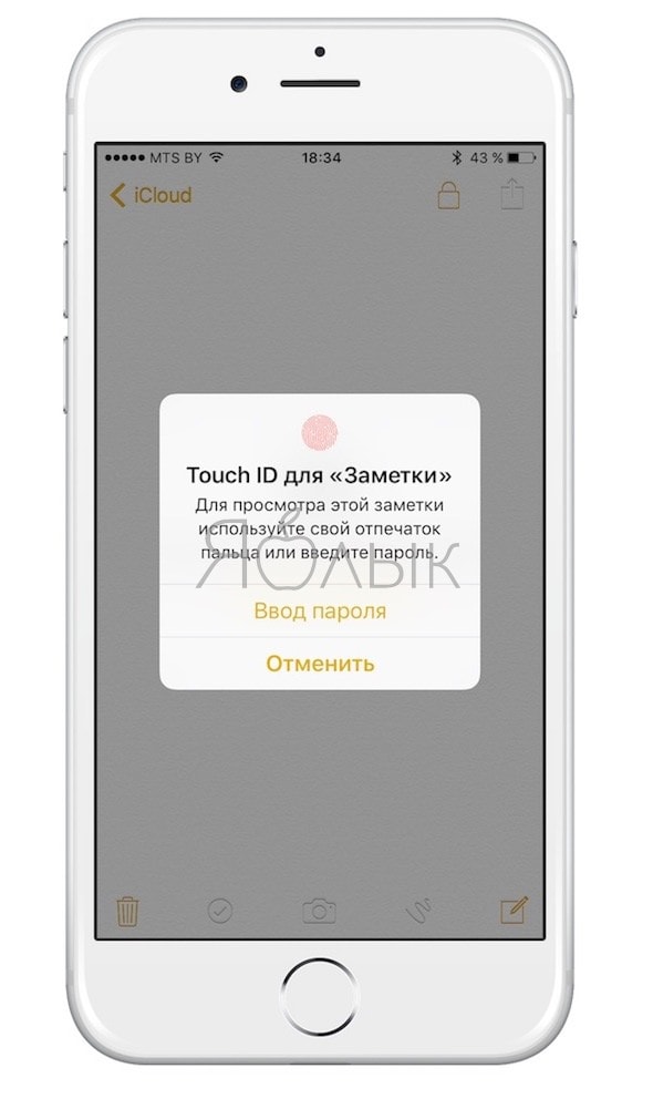 Забыл пароль от заметок. Пароль на заметки в iphone. Пароль на заметках. Заметки айфон. Пароль в заметках айфон.