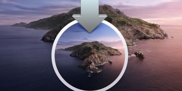 Как установить публичную бета-версию MacOS Catalina 10.15