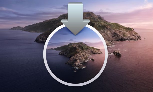 Как установить публичную бета-версию MacOS Catalina 10.15